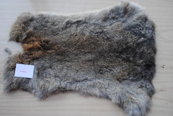 Rabbit Skin